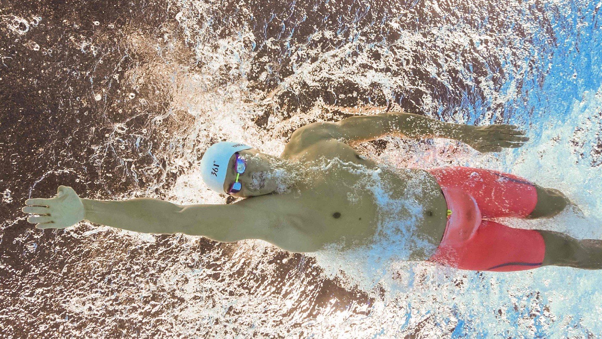 激情与传承,全球球迷文化如何塑造现代体育精神