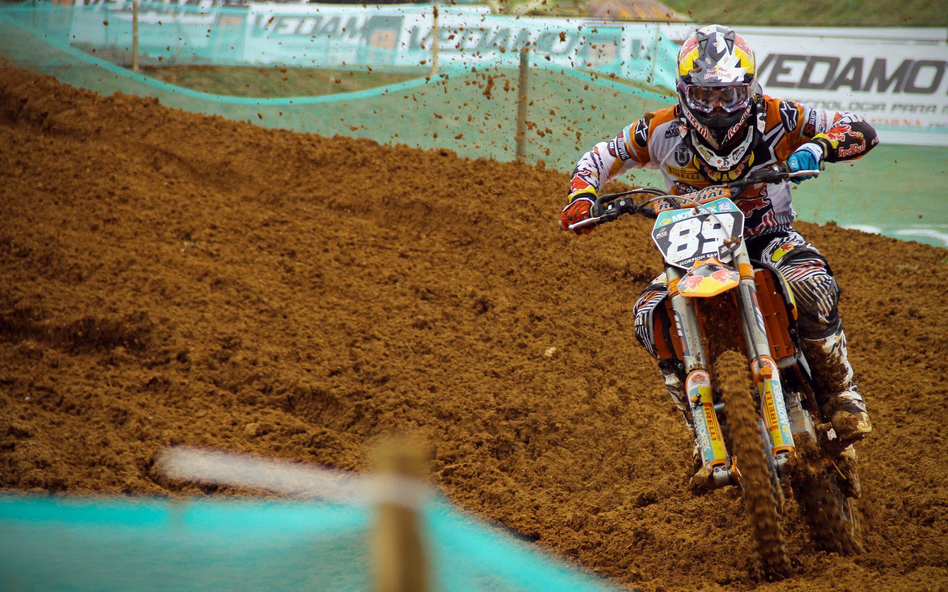 自由泳世锦赛巅峰对决,新星闪耀,传奇续写