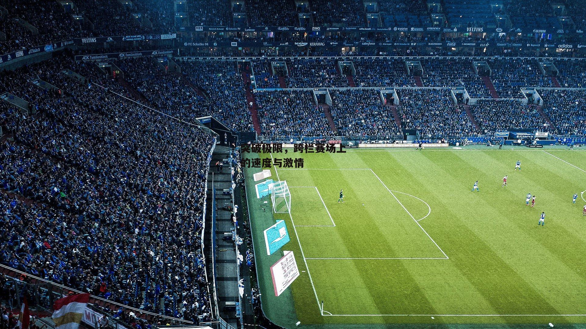 突破极限，跨栏赛场上的速度与激情