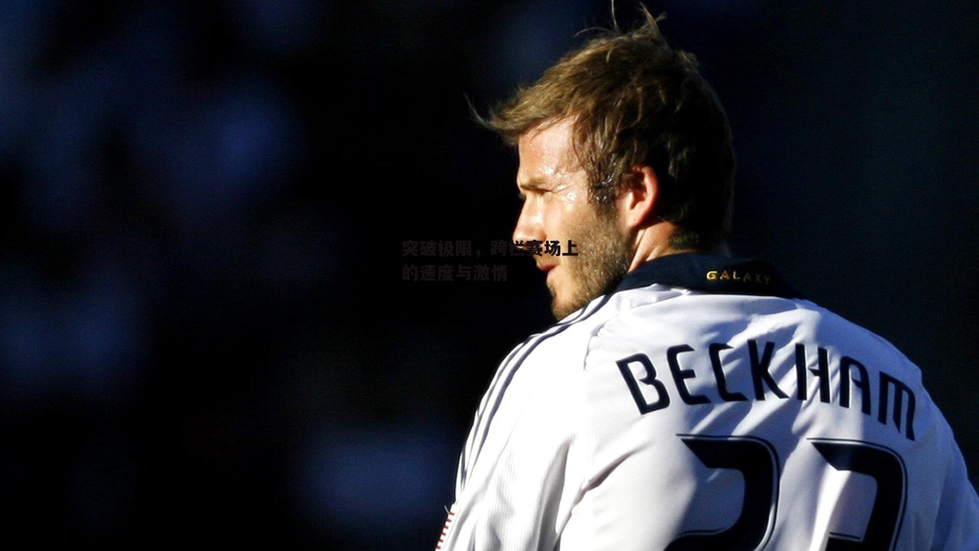 突破极限，跨栏赛场上的速度与激情